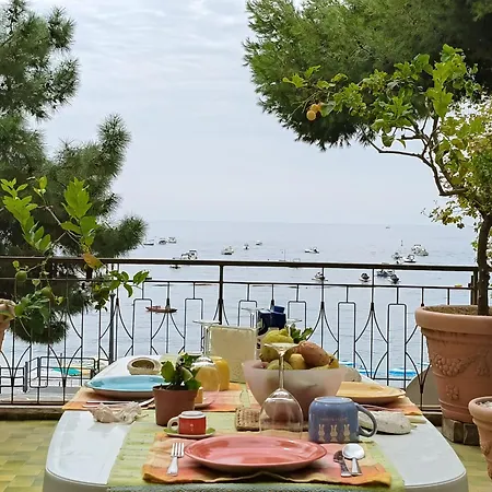 Sea, Sun & Sight Apartment