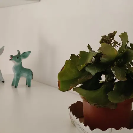 Sea, Sun & Sight Apartment Maiori