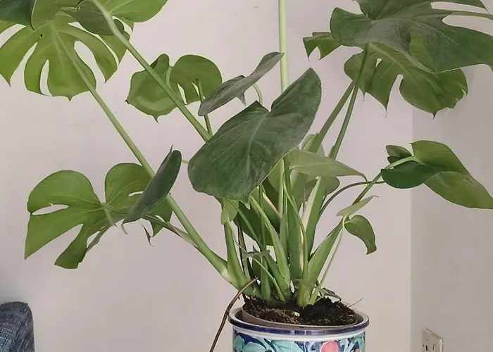 Appartamento Sea, Sun & Sight *